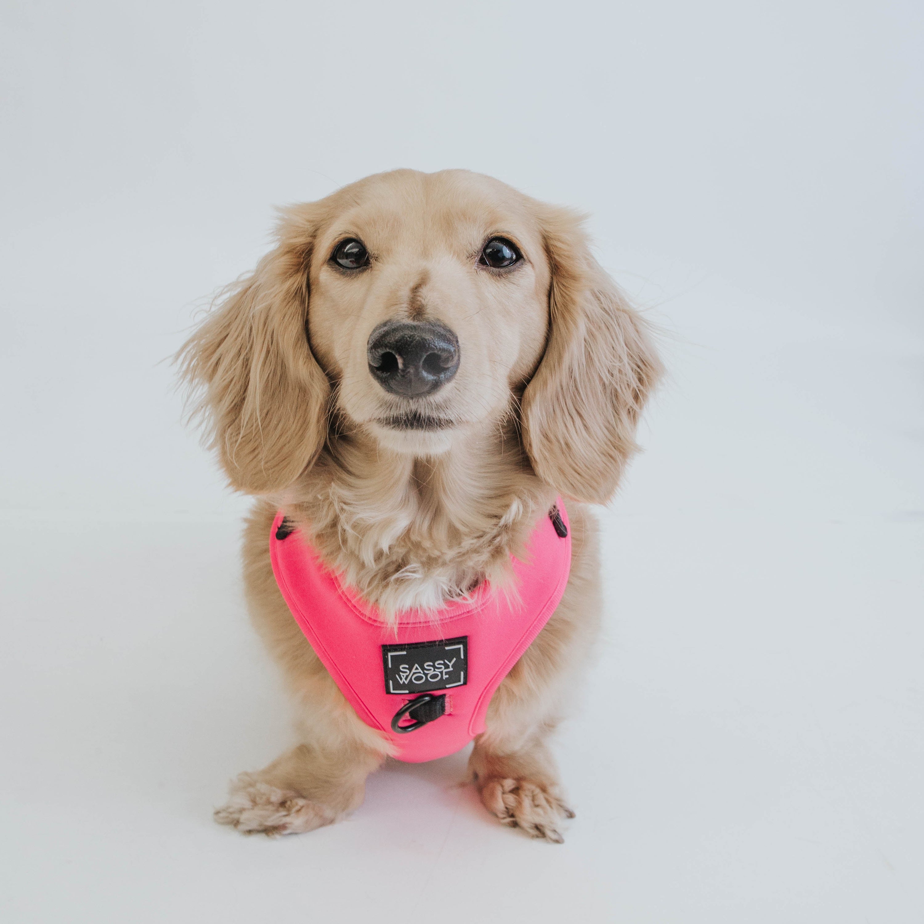 Dog Adjustable Harness - Neon Pink
