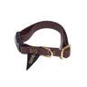 New! Water Resistant Cat & Dog Collar, Brown