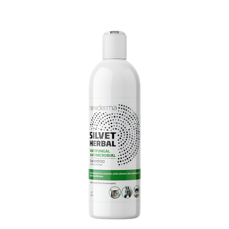 Silvet Herbal Antifungal Antimicrobial Shampoo 16oz by Nexderma
