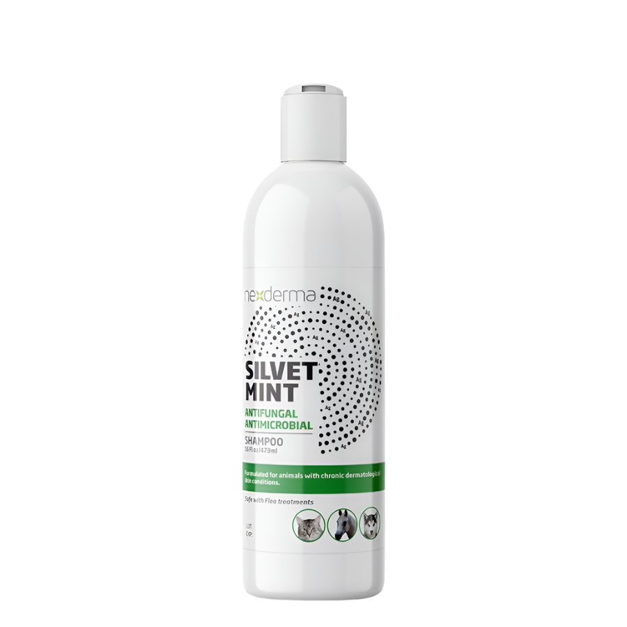 Silvet Mint Antifungal Antimicrobial Shampoo 16oz by Nexderma
