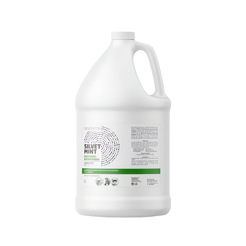 Silvet Mint Antifungal Antimicrobial Shampoo Gallon by Nexderma
