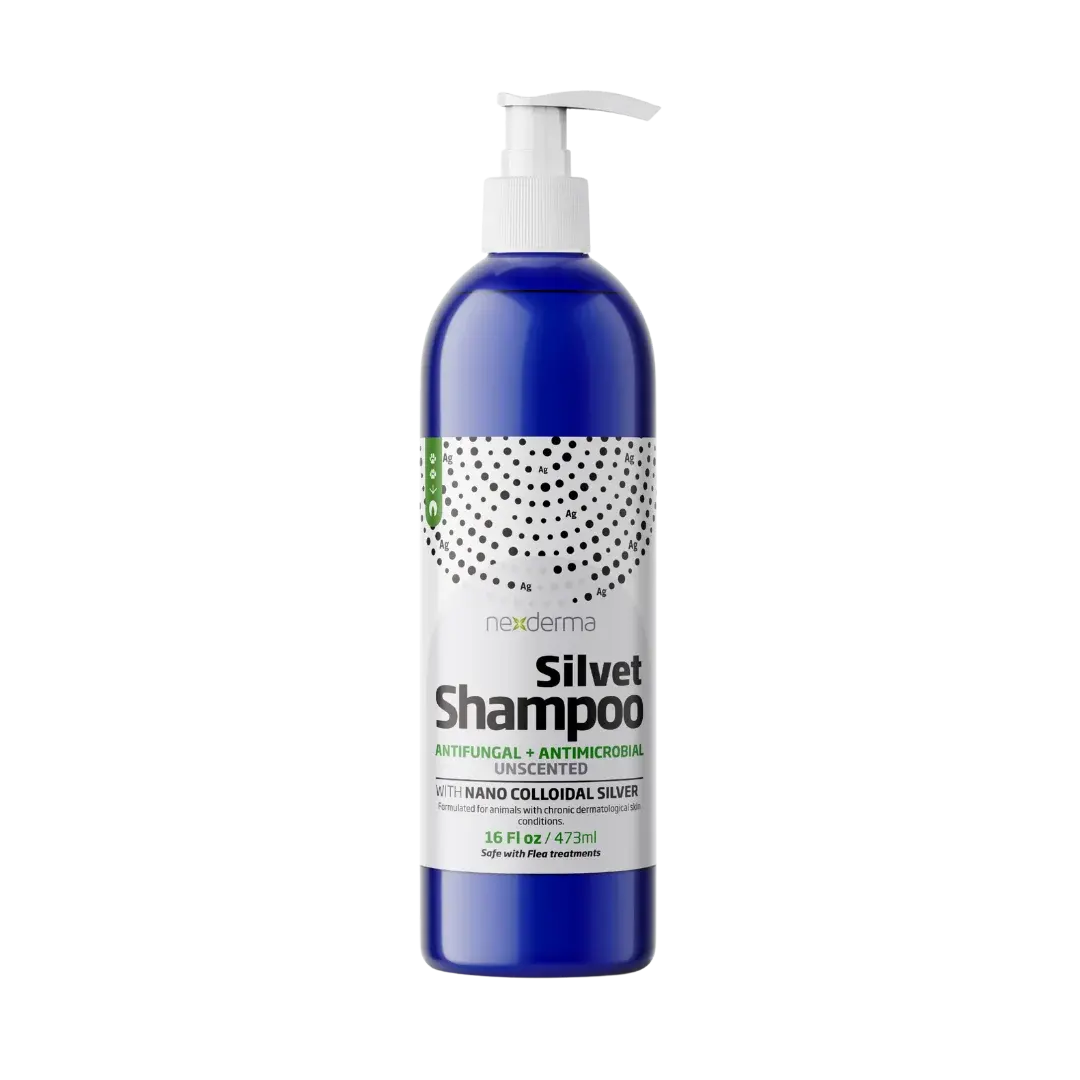 Silvet Unscented Antifungal Antimicrobial Shampoo 16oz by Nexderma