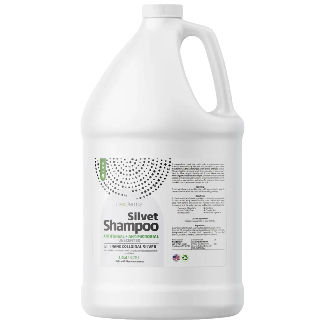 Silvet Unscented Antifungal Antimicrobial Shampoo Gallon by Nexderma