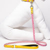 Yellow & Pink Braid-Leash