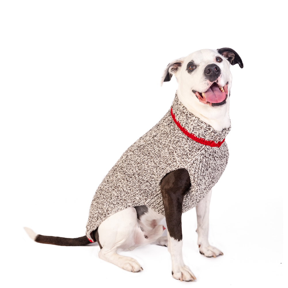 Chilly Dog Oatmeal Cable Knit Wool Dog Sweater