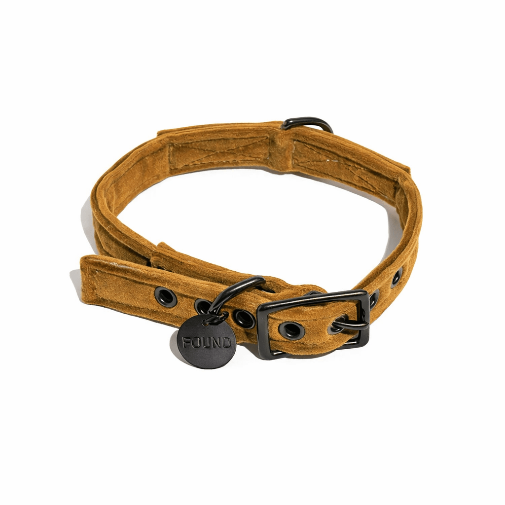 Ochre Washable Velvet Cat & Dog Collar – Matte Black Hardware