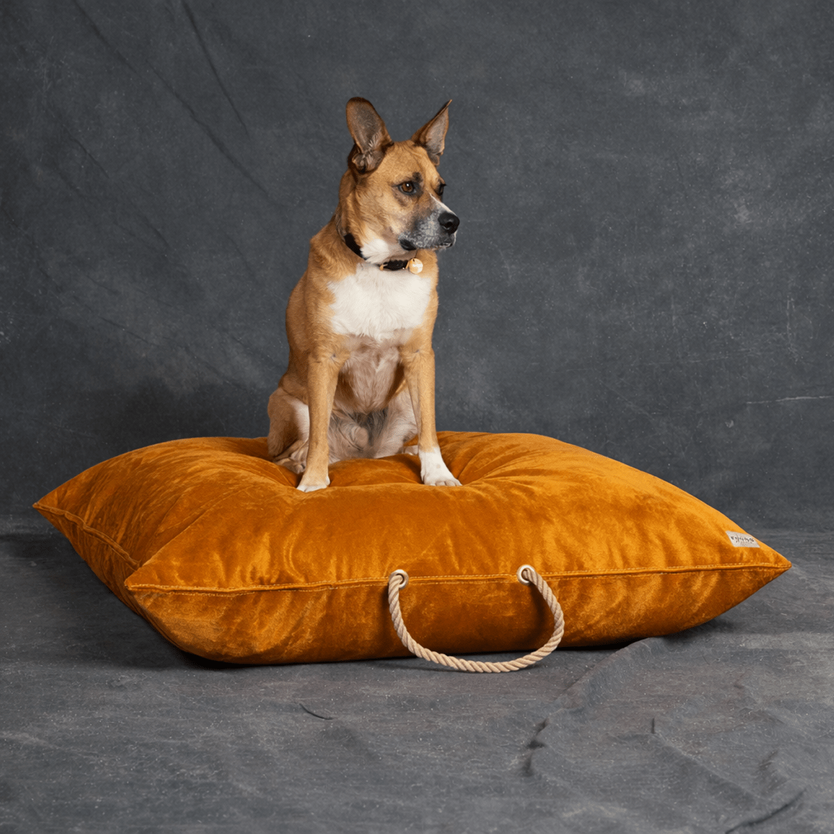 Found My Animal Ochre Velvet Dog Bed