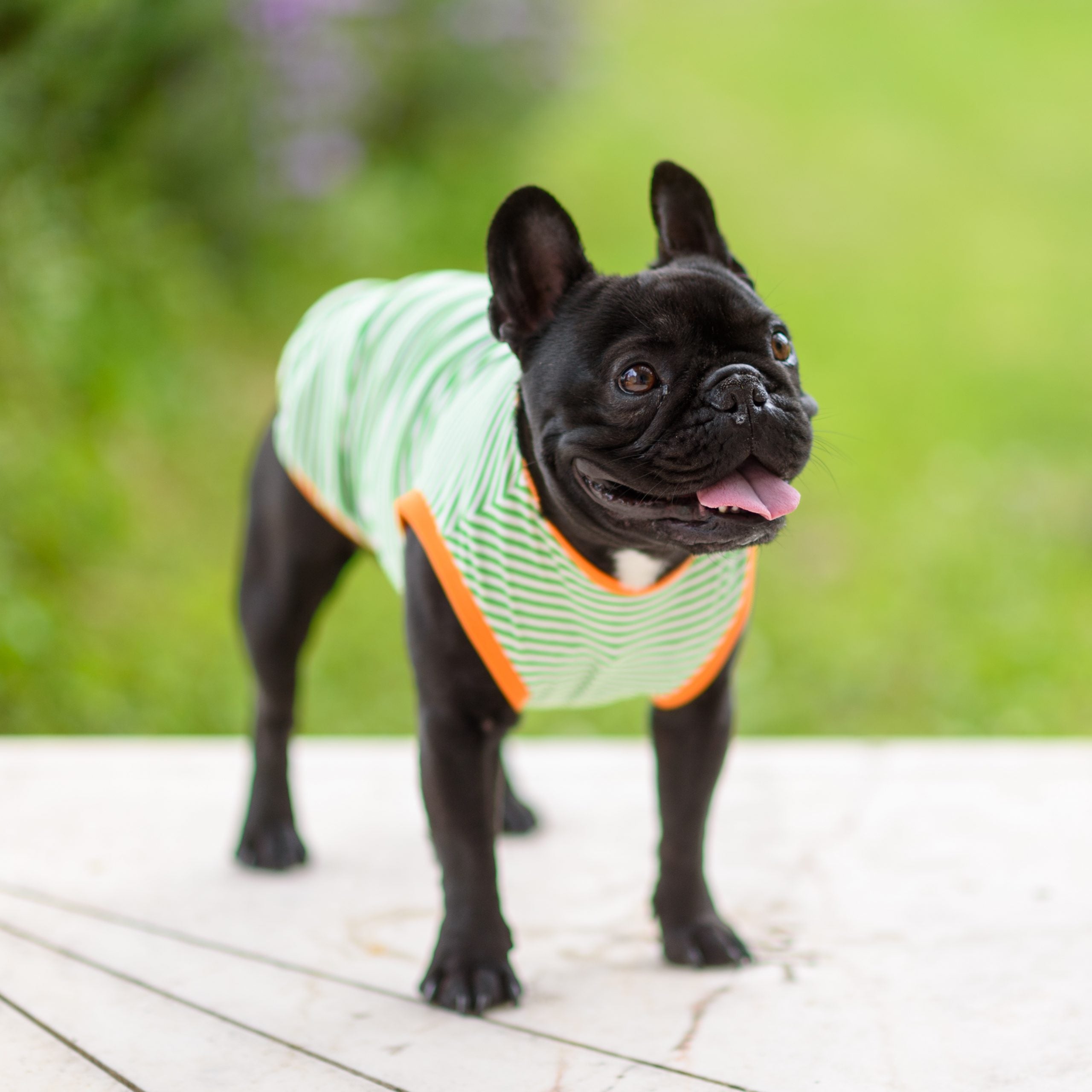 Green Stripes T-Shirt