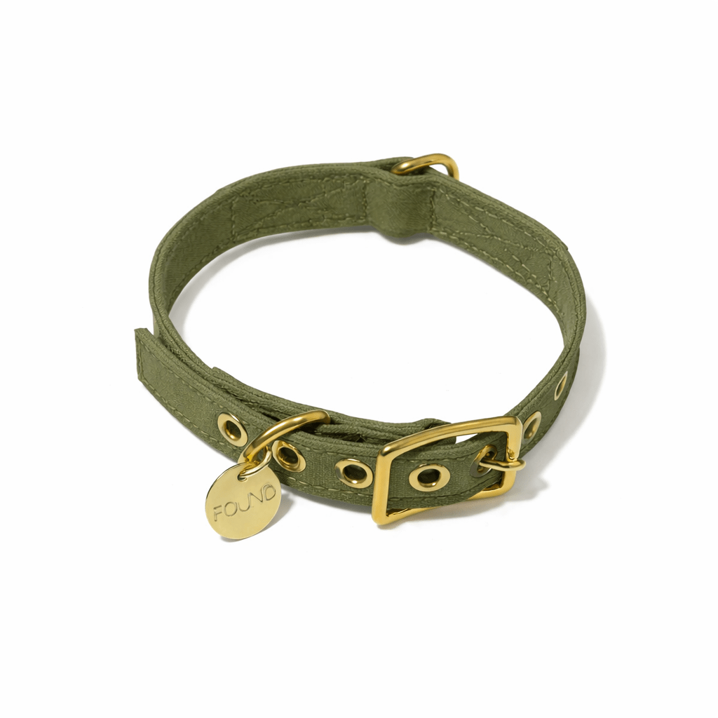 Olive Cotton Canvas Cat & Dog Collar