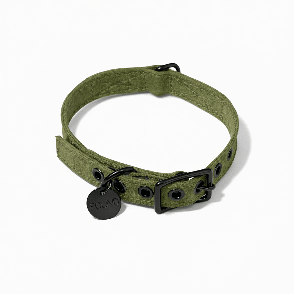 Olive Waxed Cotton Canvas Cat & Dog Collar – Matte Black Hardware