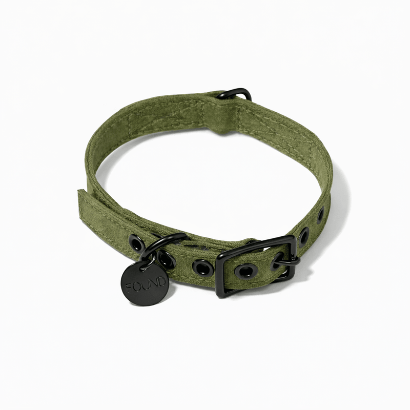 Olive Waxed Cotton Canvas Cat & Dog Collar – Matte Black Hardware