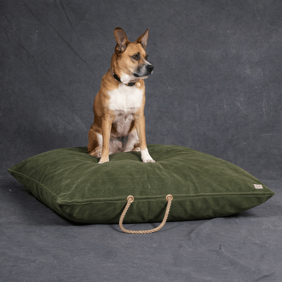 Olive Waxed Cotton Canvas Dog Bed