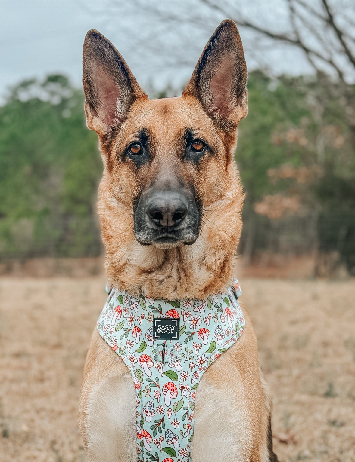Dog Adjustable Harness - Shrooms & Blooms