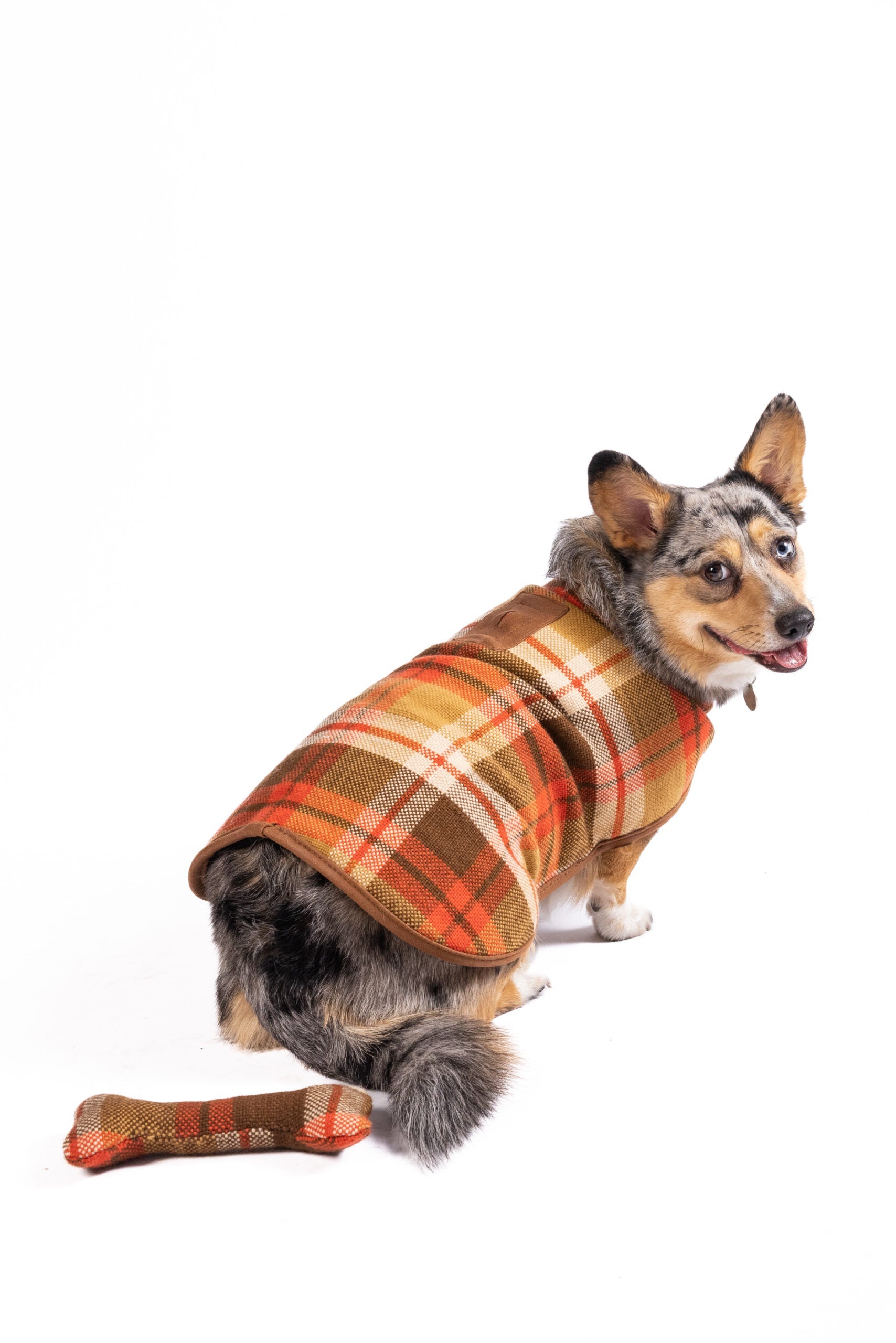 Rust Plaid Dog Coat