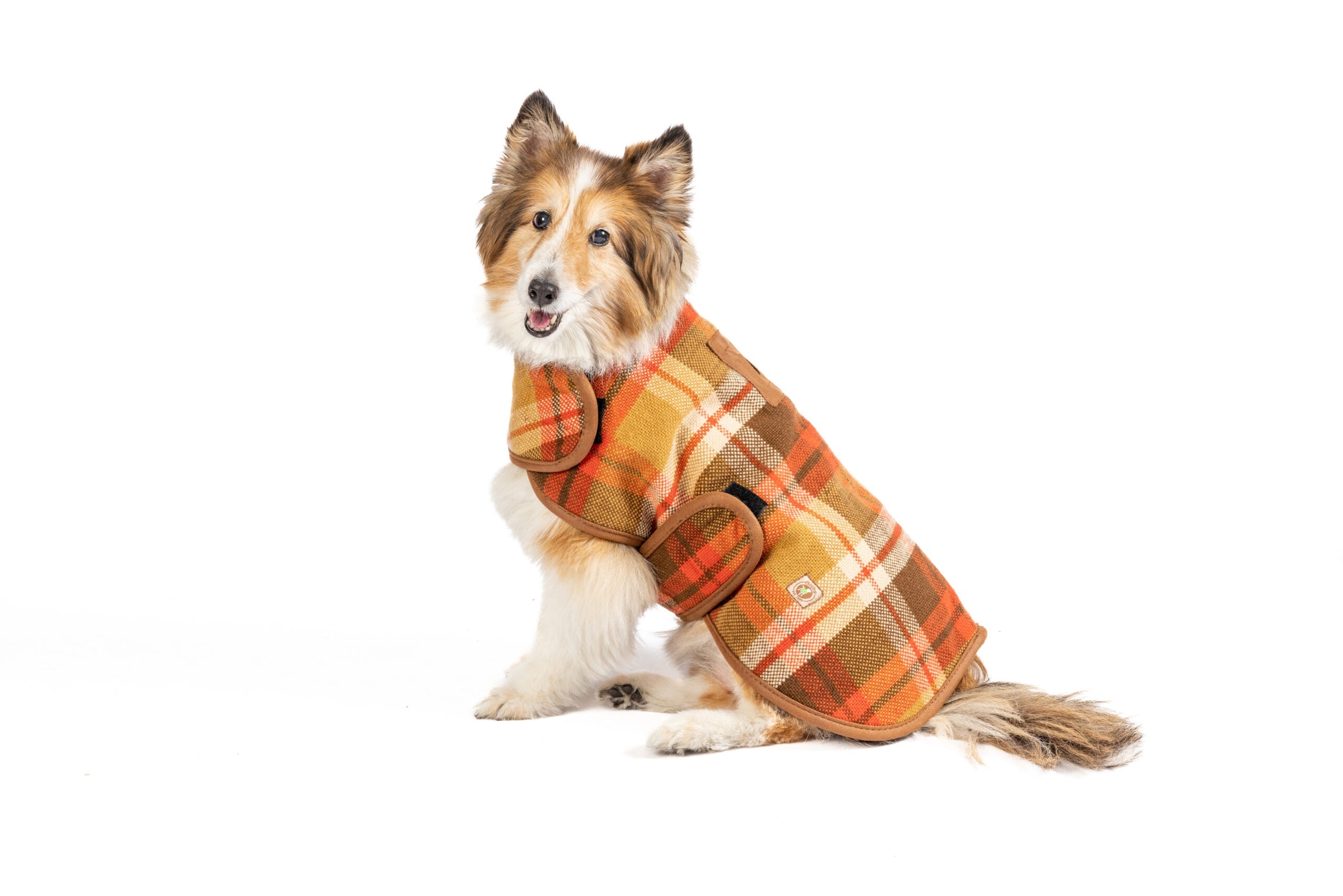 Rust Plaid Dog Coat