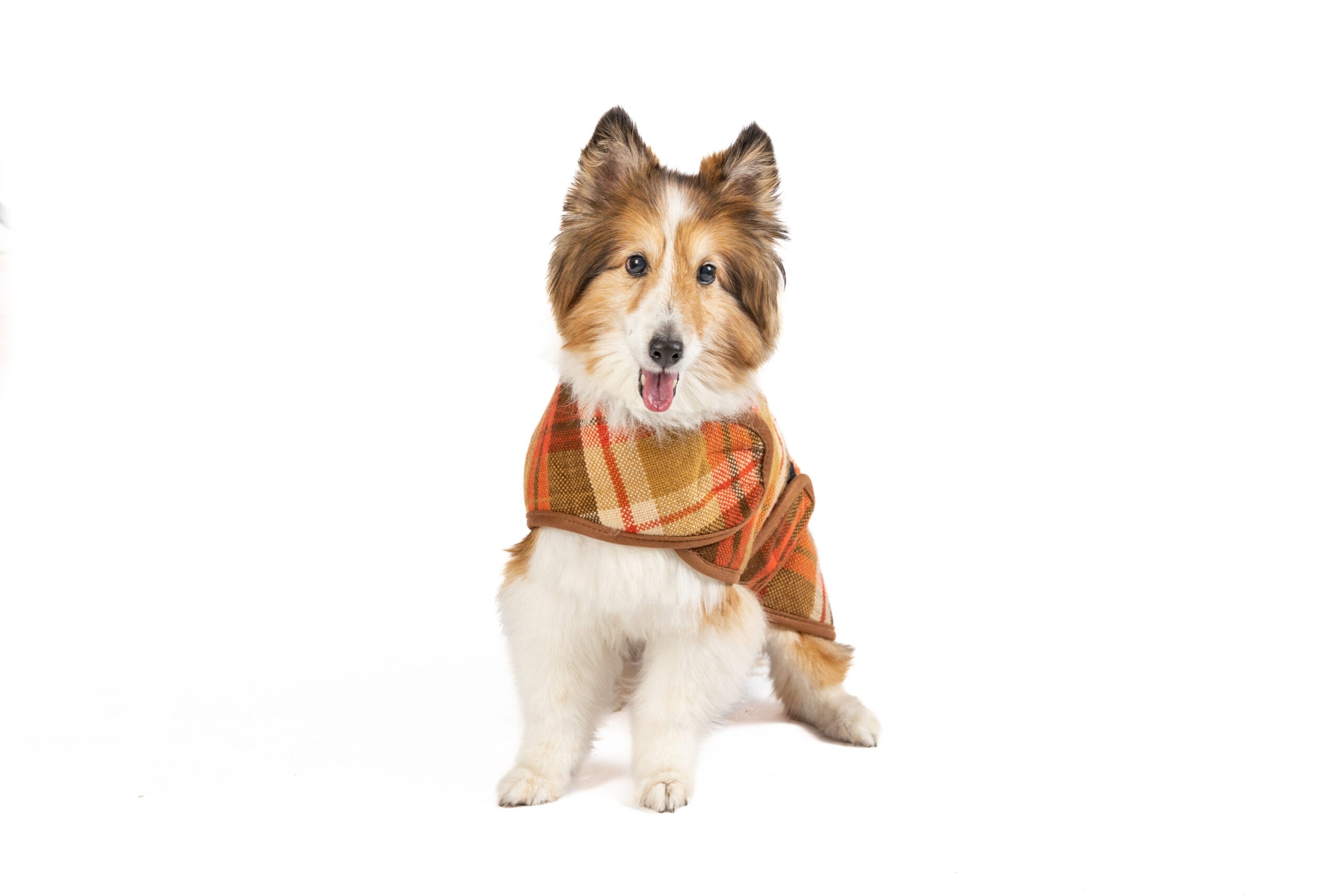 Rust Plaid Dog Coat