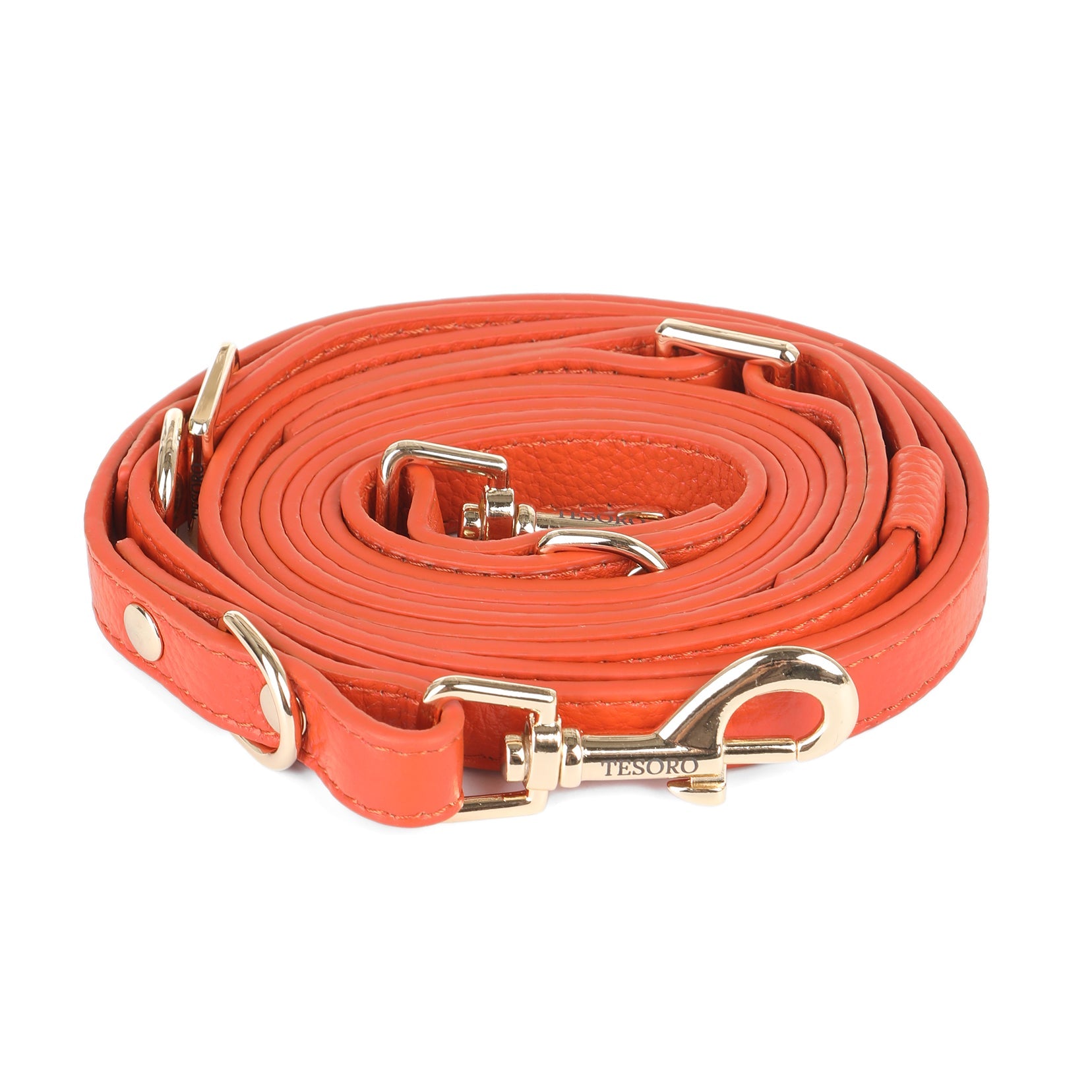 Adjustable 3-in-1 Dog Leash
