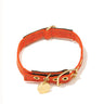 Orange Waxed Cotton Canvas Cat & Dog Collar