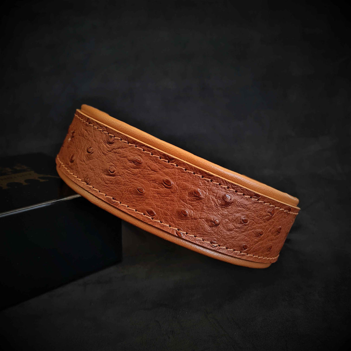 Bestia Ostrich Limited Edition Leather Dog Collar