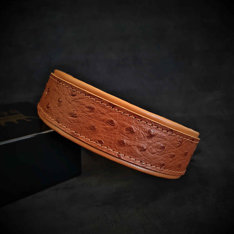 Bestia Ostrich Limited Edition Leather Dog Collar