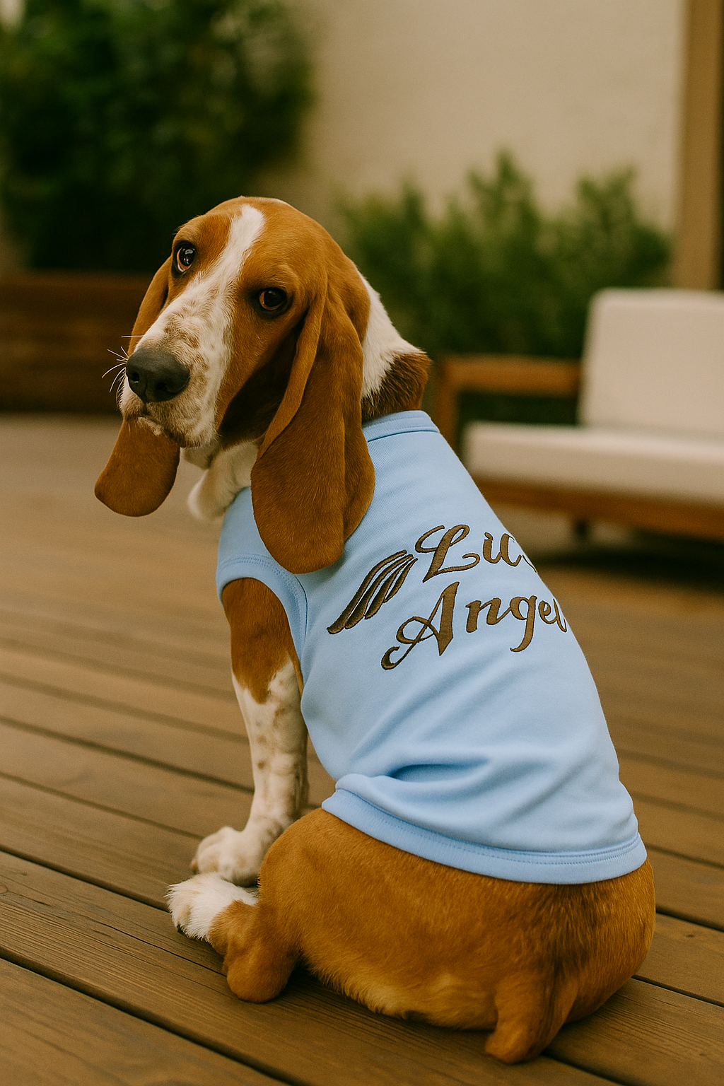 Parisian Pet Lil Angel Dog & Cat T-Shirt  Comfortable & Lightweight Embroidered Novelty Pet Shirt  Light Blue