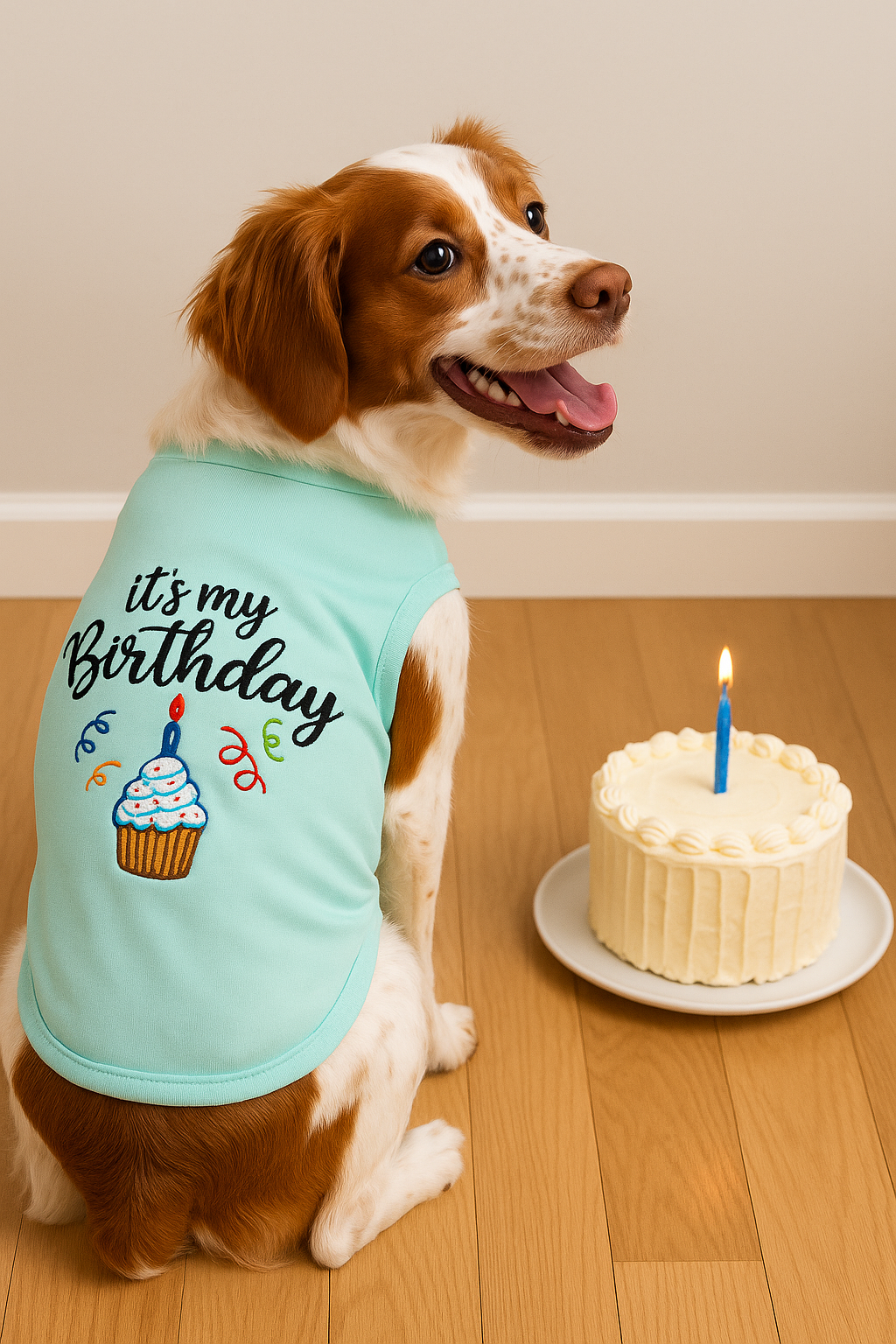 Parisian Pet Birthday Boy Fun Slogan Dog T-Shirt Premium Embroidered Celebratory Clothing for Dogs & Cats, Blue