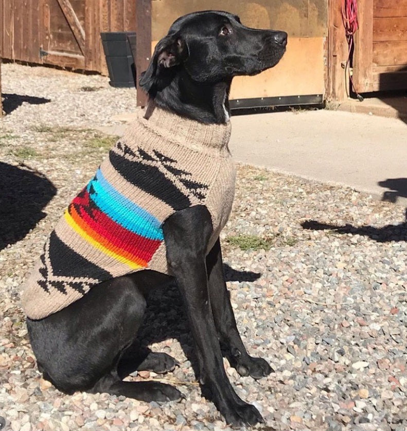 Chilly Dog Painted Desert Knit Wool Dog Sweater