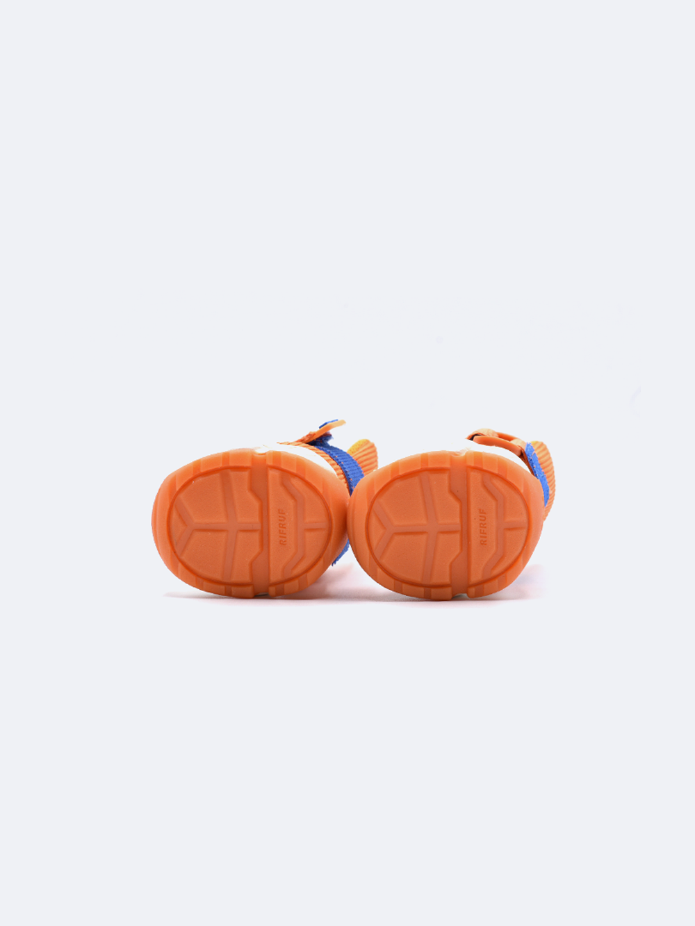 RIFRUF Caesar 2 Dog Sneakers