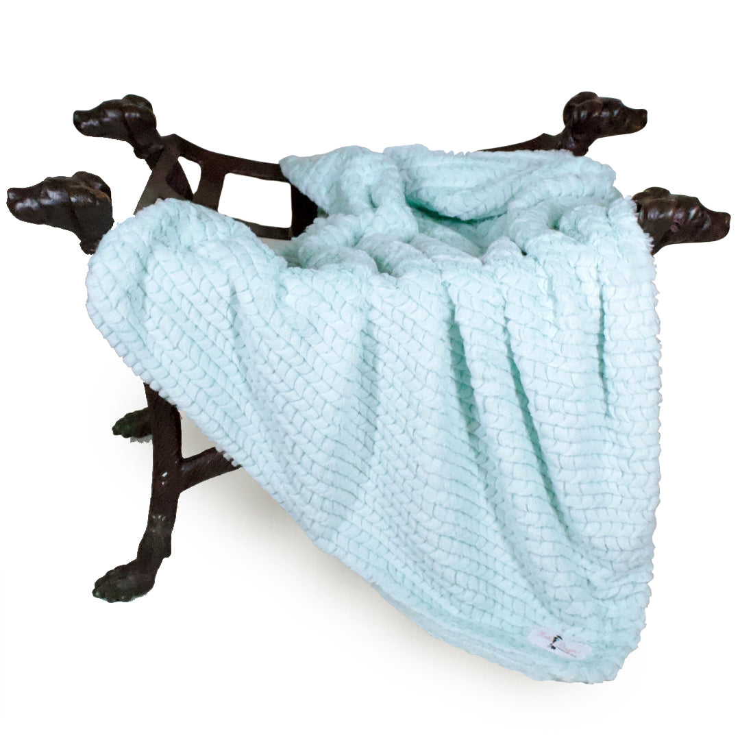 Hello Doggie Paris Ice Dog Blanket