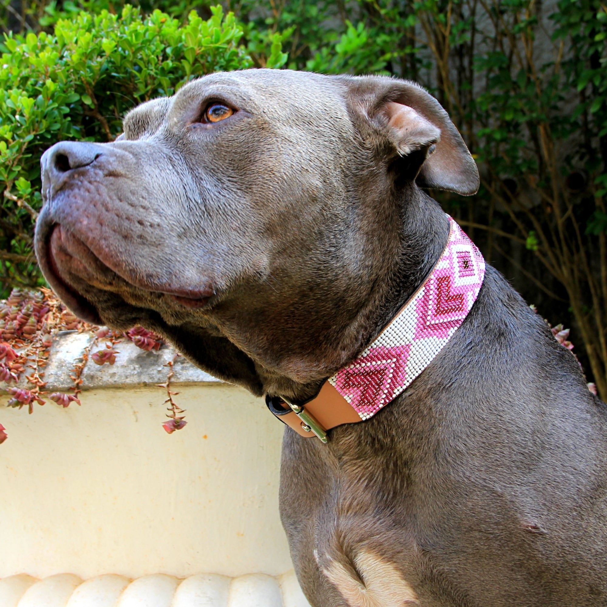 Paris Sambboho dog collar (with center D-ring)