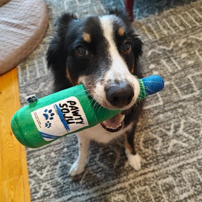 Pawty Soju Bottle Plush Dog Toy