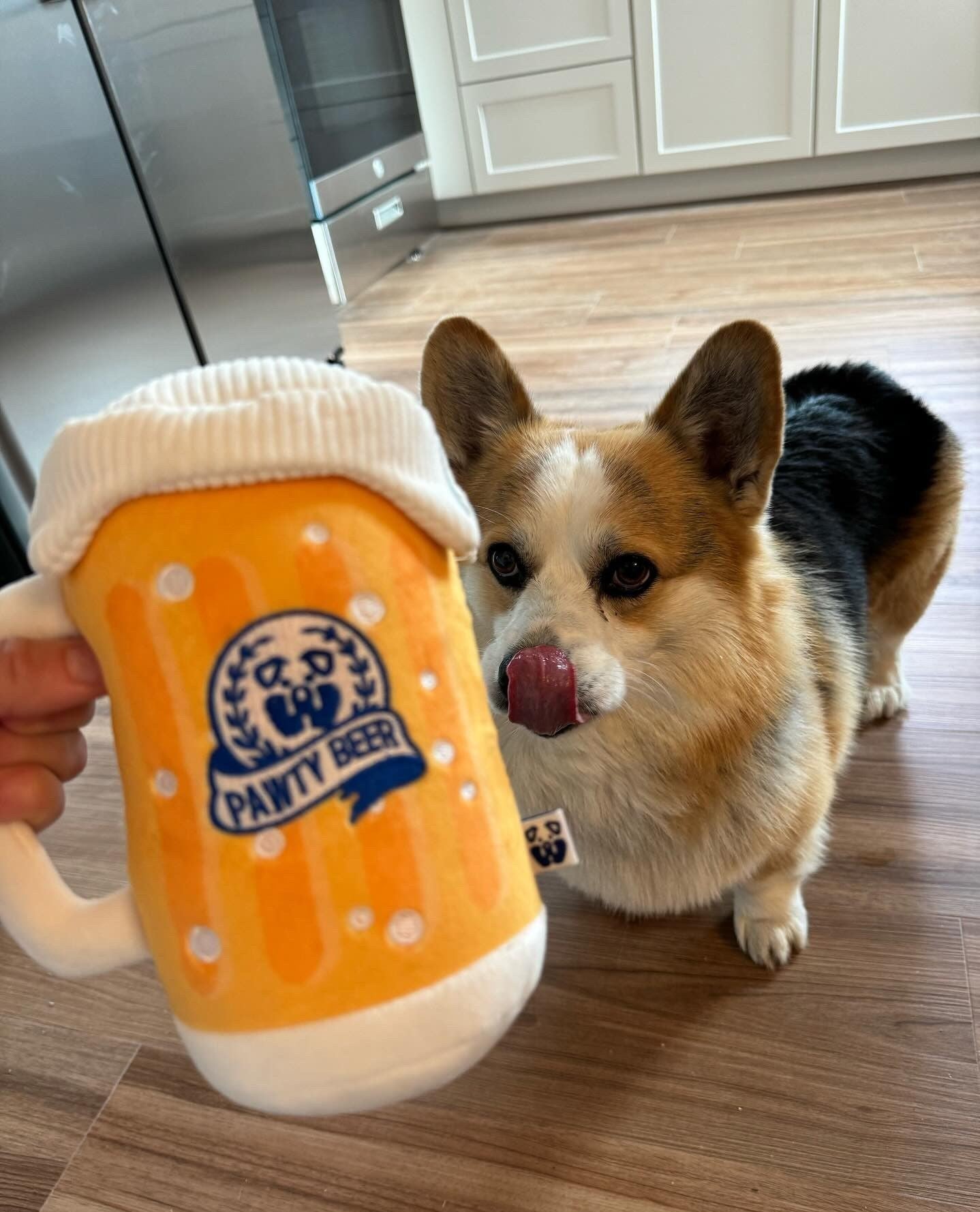 Pet Toy: PAWTY BEER PLUSH DOG TOY