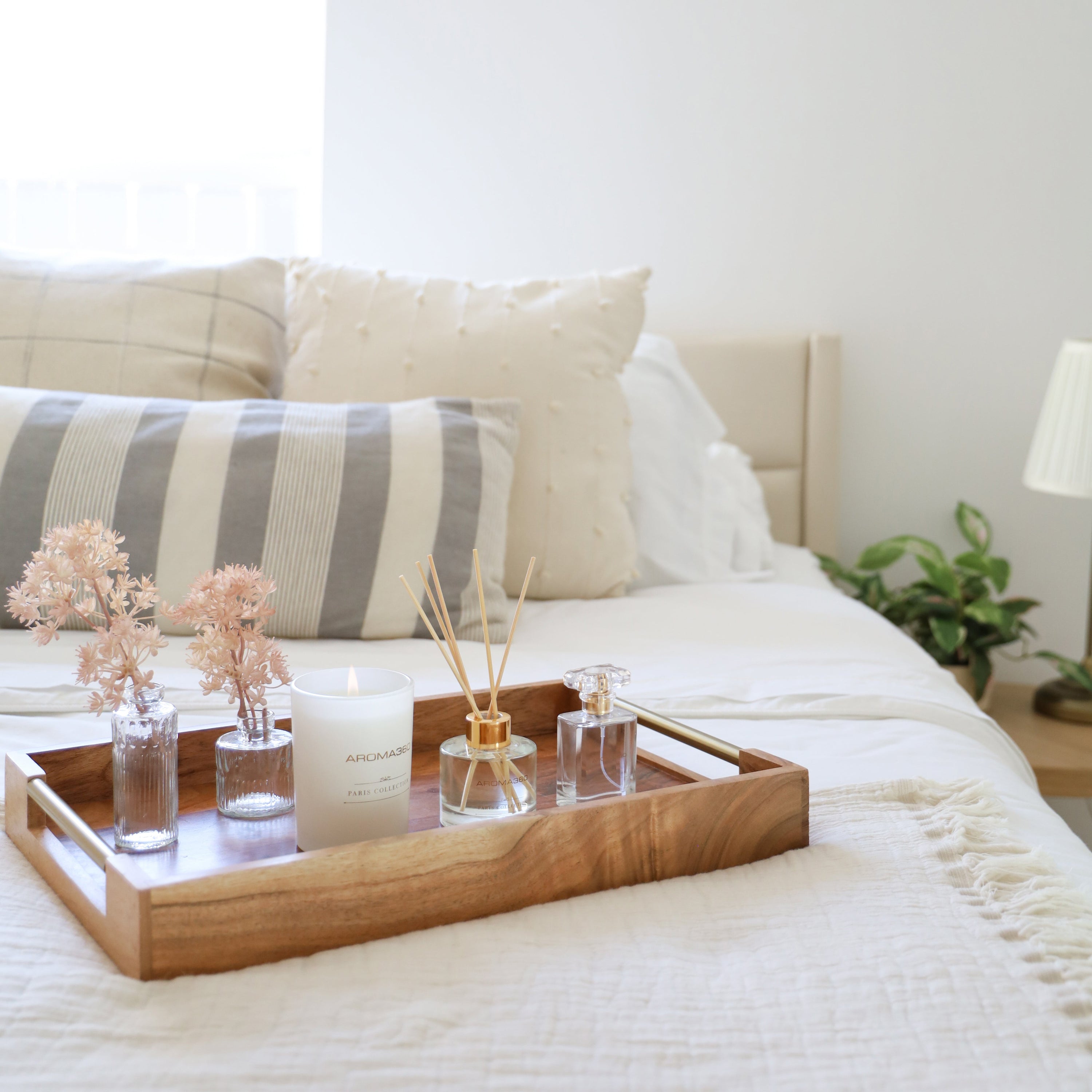 Paris Collection Set - HT Animal Supply