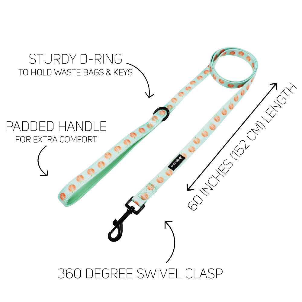 Dog Leash - Peach Please