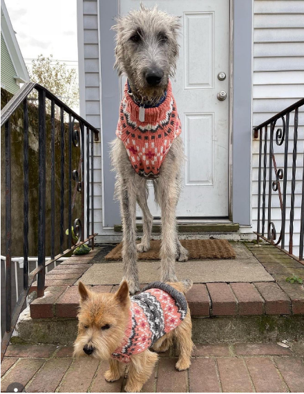 Chilly Dog Peach Fair Isle Knit Wool Dog Sweater