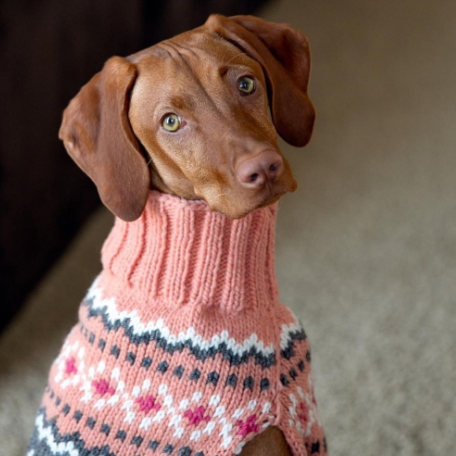 Chilly Dog Peach Fair Isle Knit Wool Dog Sweater