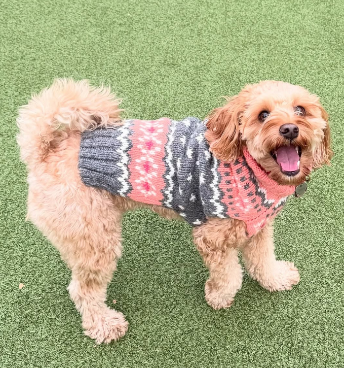 Chilly Dog Peach Fair Isle Knit Wool Dog Sweater