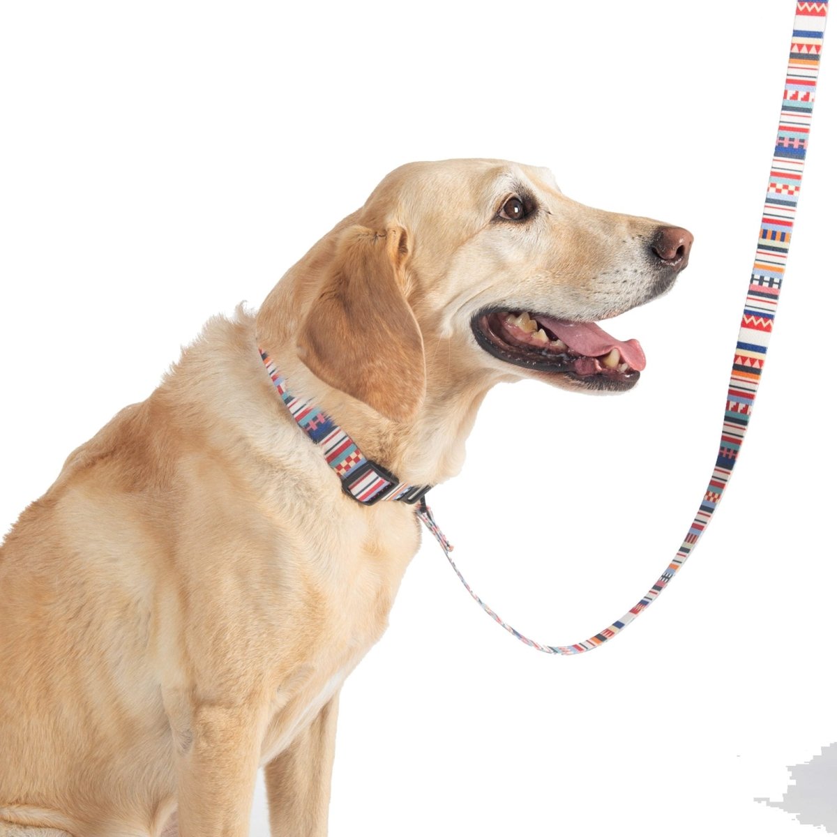 Pendleton Adventure Collar premium pet product