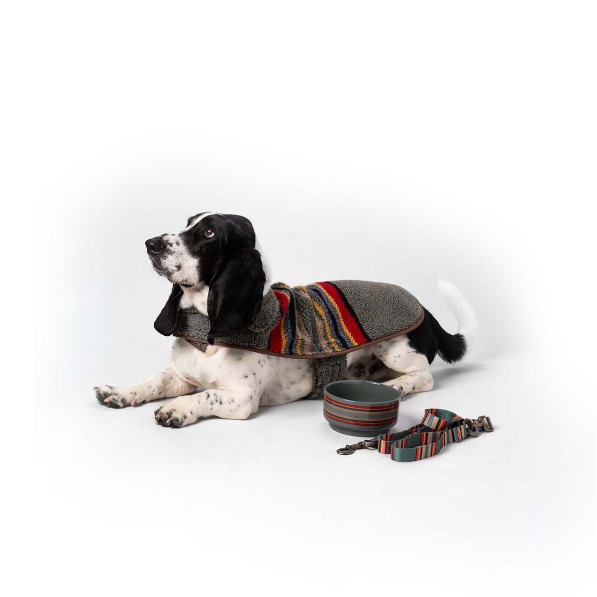 Pendleton Adventure Leash premium pet product