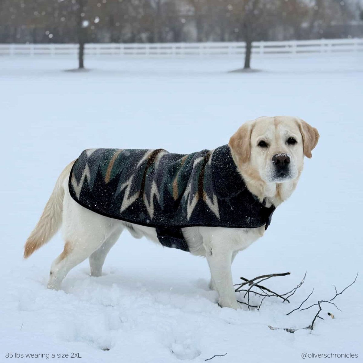 Pendleton Berber Dog Coat | HT Animal Supply