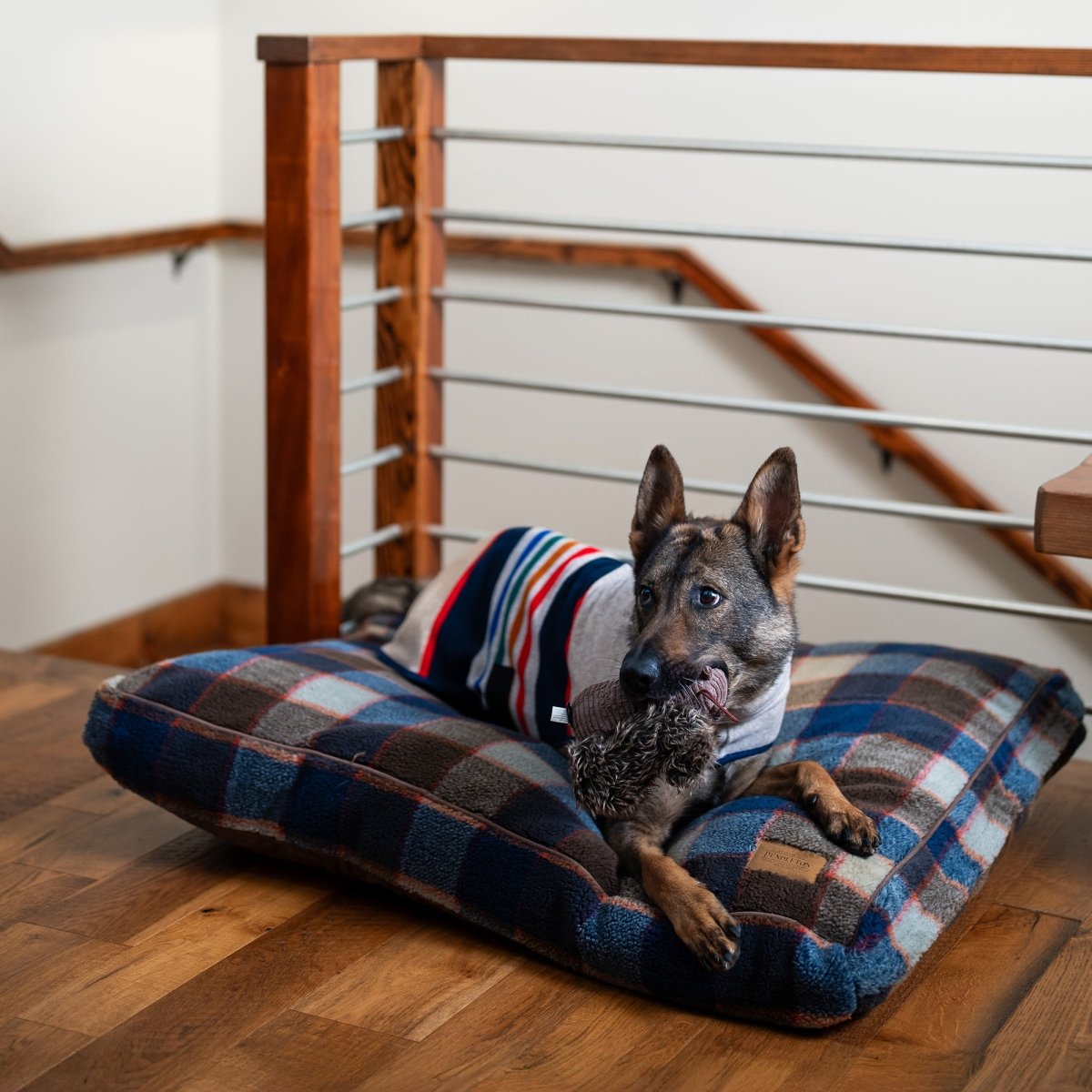 Pendleton Berber Pet Napper premium pet product