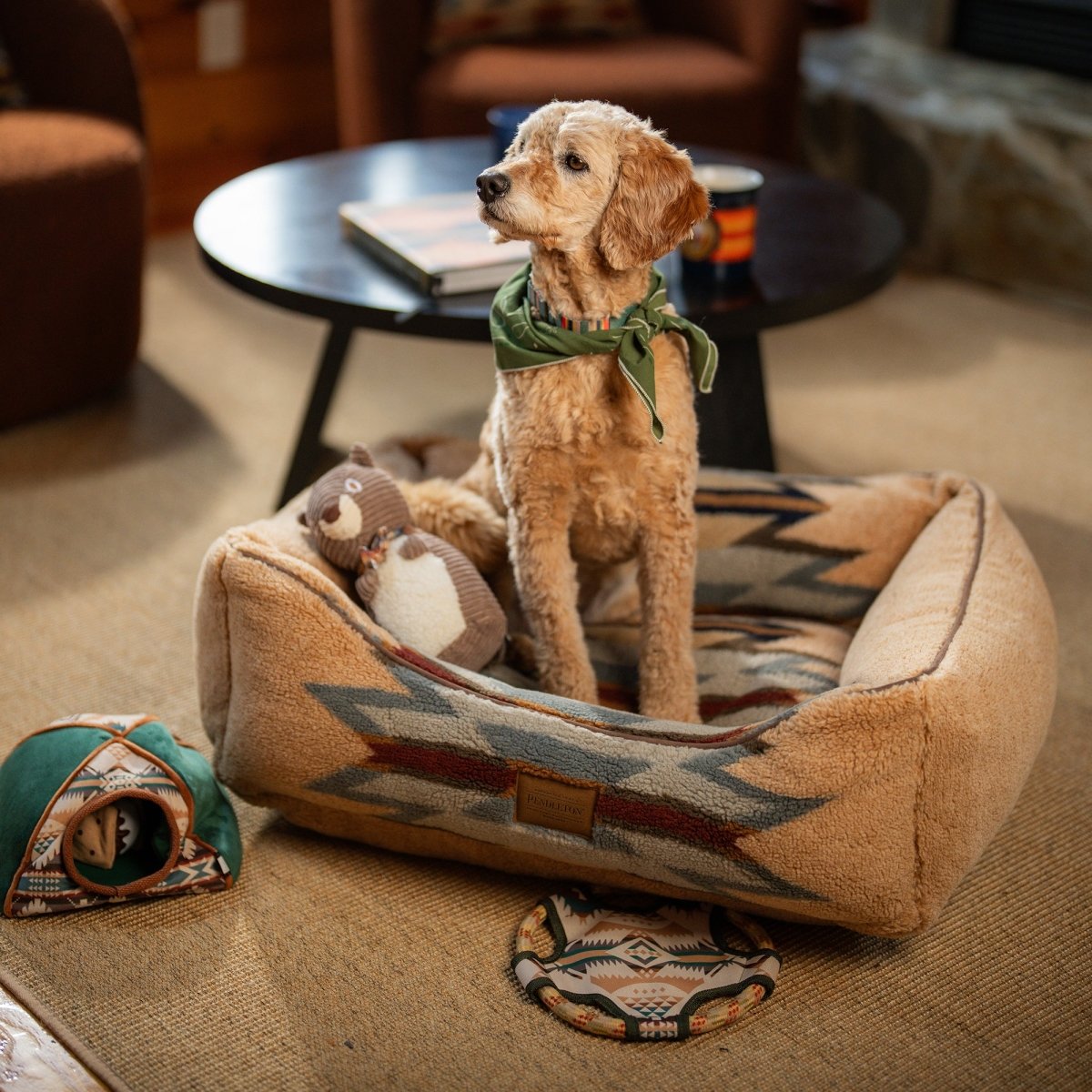 Pendleton Camp Discovery Tent Set Dog Plush Toy premium pet product
