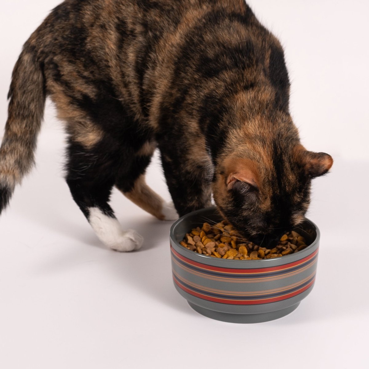 Pendleton Ceramic Food & Water Pet Bowl premium pet product