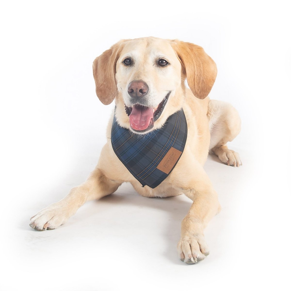 Pendleton Crescent Lake Plaid Bandana for Dogs