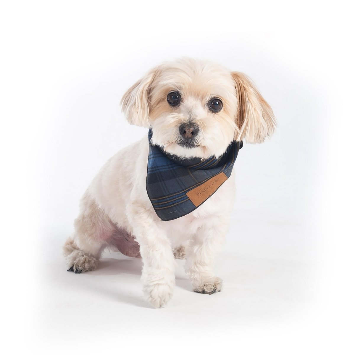 Pendleton Crescent Lake Plaid Bandana for Dogs