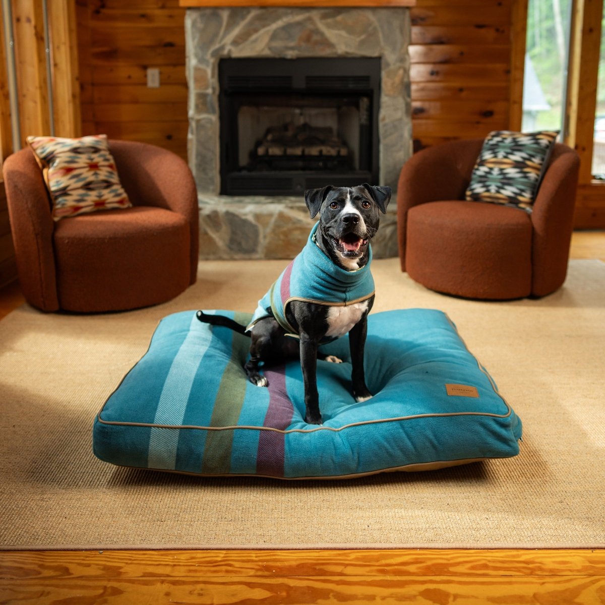 Pendleton Dog Vest premium pet product