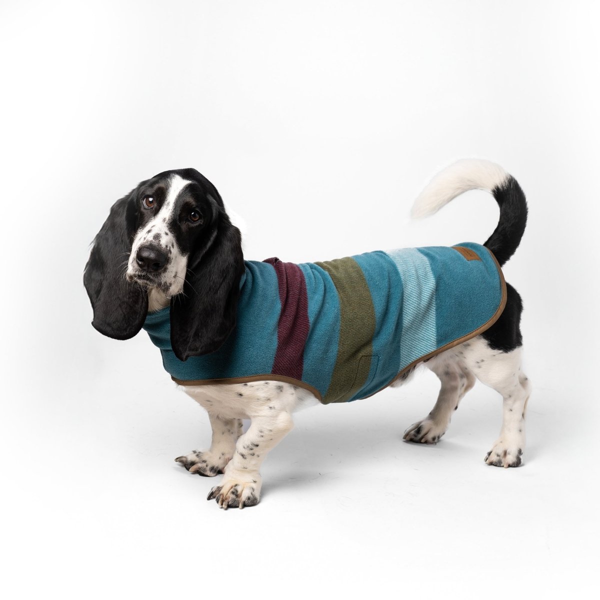 Pendleton Dog Vest premium pet product