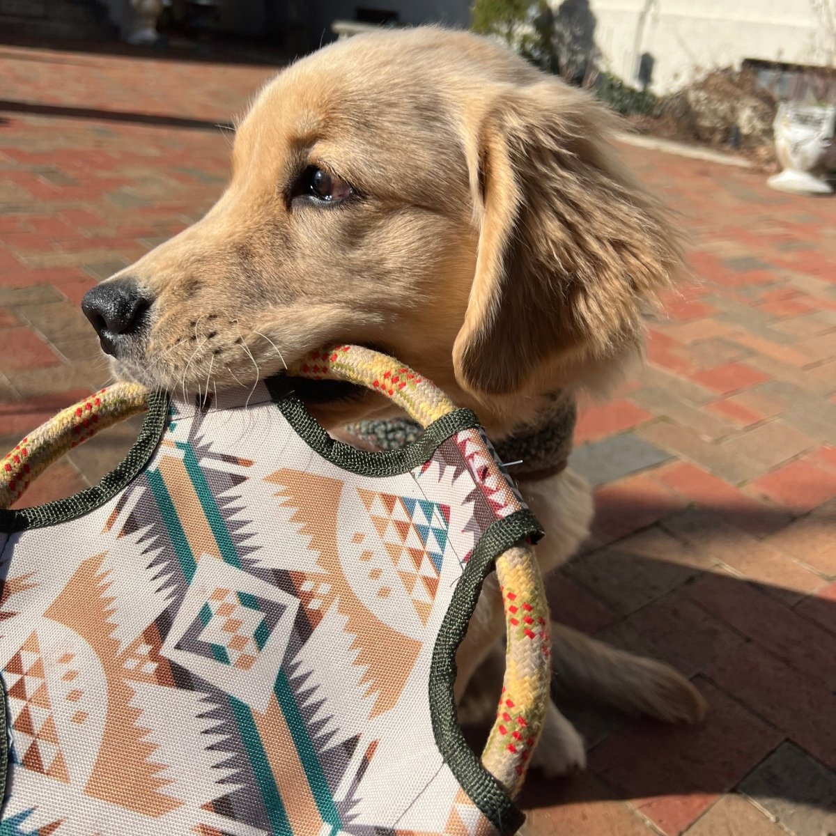 Pendleton Flying Disc Rope Dog Toy premium pet product