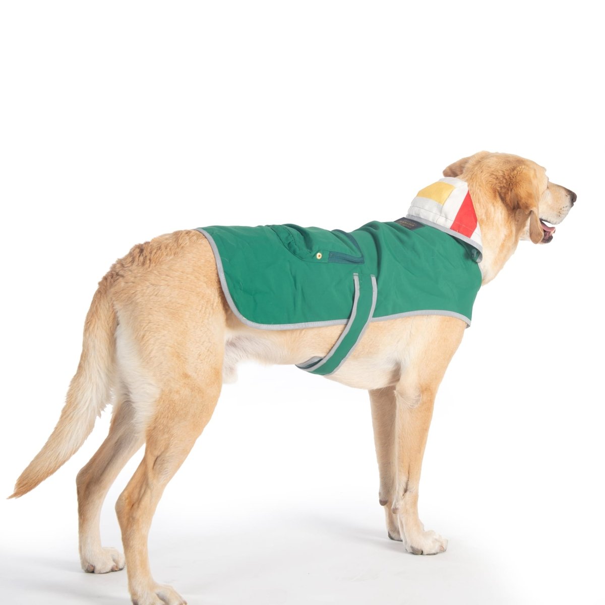 Pendleton Glacier National Park Waterproof Raincoat for Dogs premium pet product