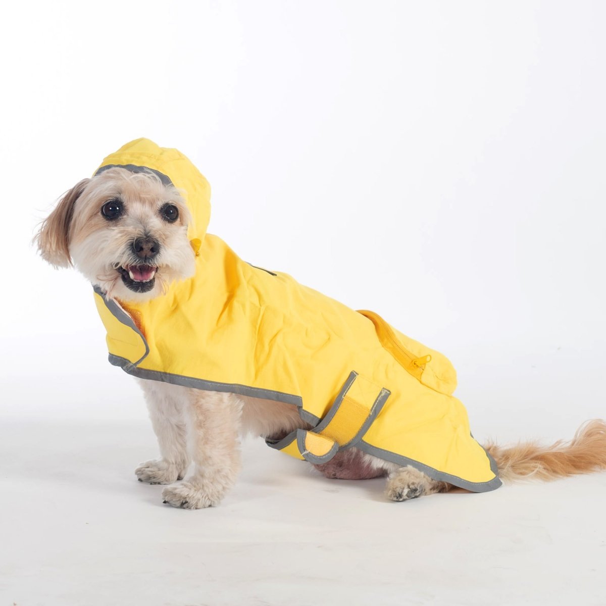 Pendleton Glacier National Park Waterproof Raincoat for Dogs premium pet product